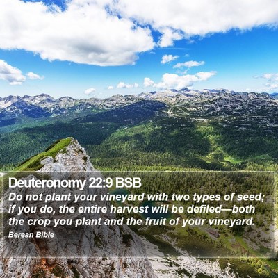 Deuteronomy 22:9 BSB Bible Verse Image