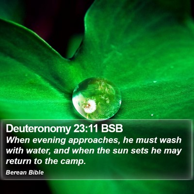 Deuteronomy 23:11 BSB Bible Verse Image