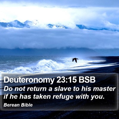 Deuteronomy 23:15 BSB Bible Verse Image