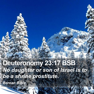 Deuteronomy 23:17 BSB Bible Verse Image