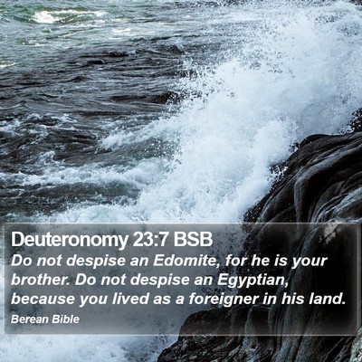 Deuteronomy 23:7 BSB Bible Verse Image