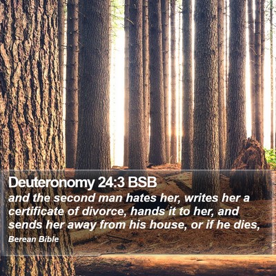 Deuteronomy 24:3 BSB Bible Verse Image