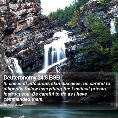 Deuteronomy 24:8 BSB Bible Verse Image