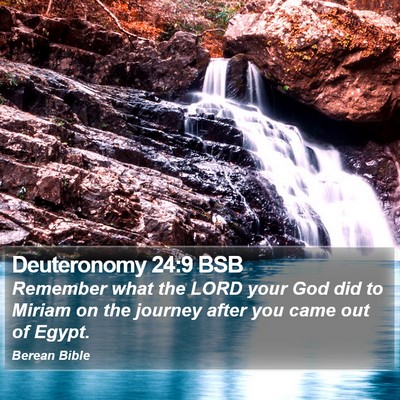 Deuteronomy 24:9 BSB Bible Verse Image