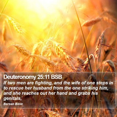 Deuteronomy 25:11 BSB Bible Verse Image