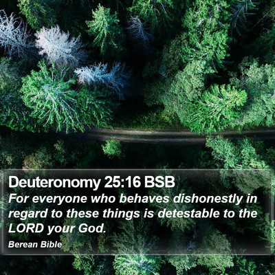 Deuteronomy 25:16 BSB Bible Verse Image