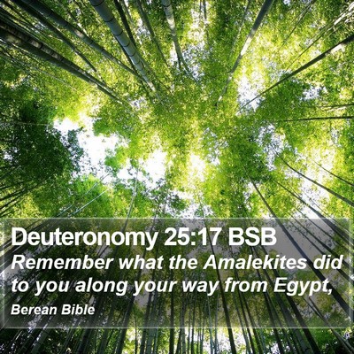 Deuteronomy 25:17 BSB Bible Verse Image