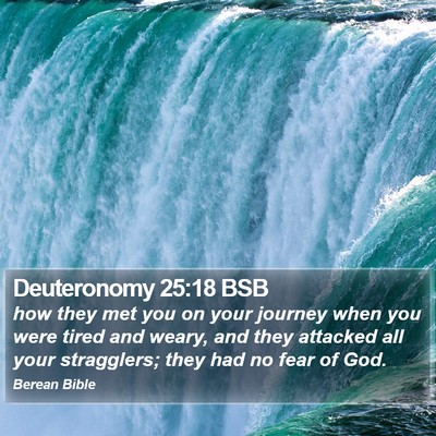 Deuteronomy 25:18 BSB Bible Verse Image