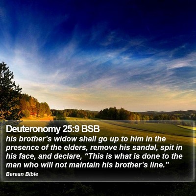Deuteronomy 25:9 BSB Bible Verse Image