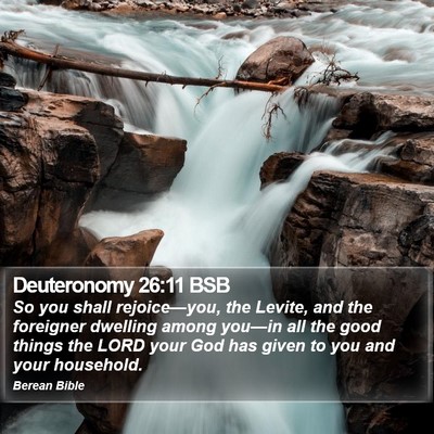Deuteronomy 26:11 BSB Bible Verse Image