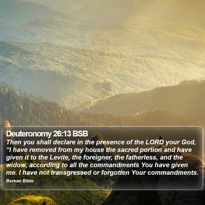 Deuteronomy 26:13 BSB Bible Verse Image