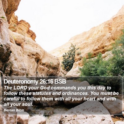 Deuteronomy 26:16 BSB Bible Verse Image