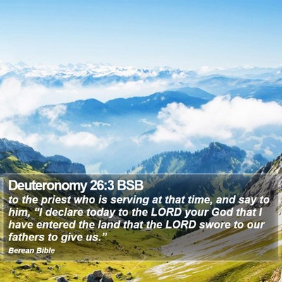 Deuteronomy 26:3 BSB Bible Verse Image