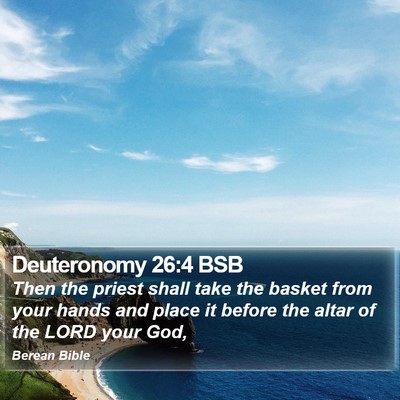 Deuteronomy 26:4 BSB Bible Verse Image