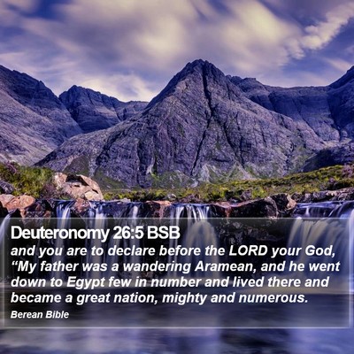 Deuteronomy 26:5 BSB Bible Verse Image