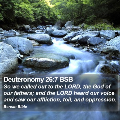 Deuteronomy 26:7 BSB Bible Verse Image