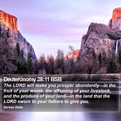 Deuteronomy 28:11 BSB Bible Verse Image