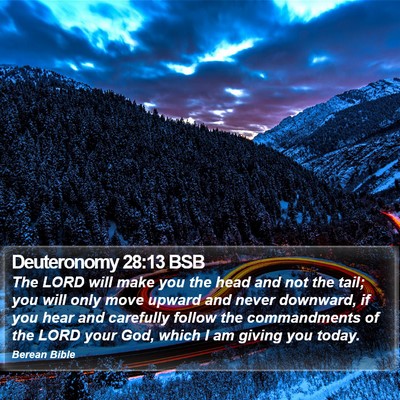 Deuteronomy 28:13 BSB Bible Verse Image