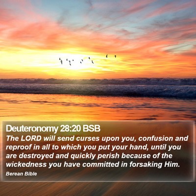 Deuteronomy 28:20 BSB Bible Verse Image