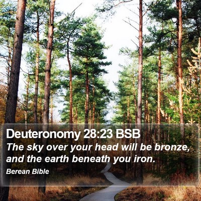 Deuteronomy 28:23 BSB Bible Verse Image