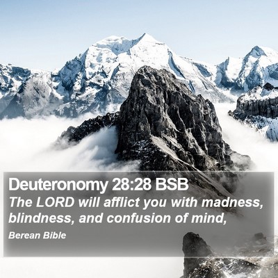Deuteronomy 28:28 BSB Bible Verse Image