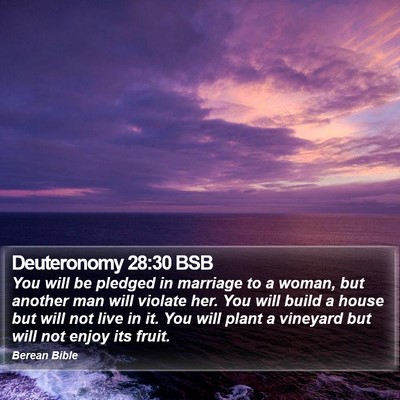 Deuteronomy 28:30 BSB Bible Verse Image