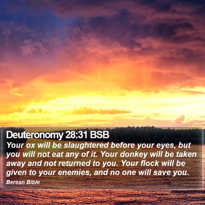 Deuteronomy 28:31 BSB Bible Verse Image