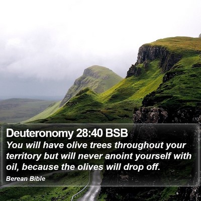 Deuteronomy 28:40 BSB Bible Verse Image