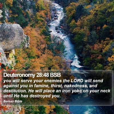 Deuteronomy 28:48 BSB Bible Verse Image