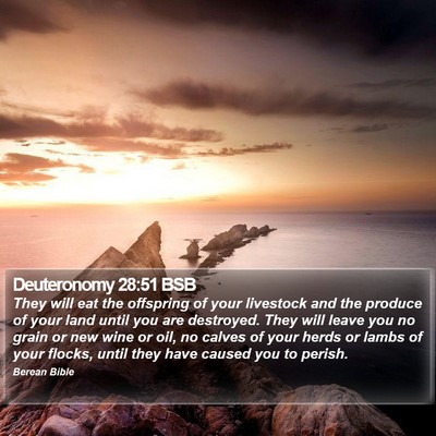 Deuteronomy 28:51 BSB Bible Verse Image