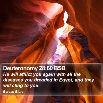 Deuteronomy 28:60 BSB Bible Verse Image