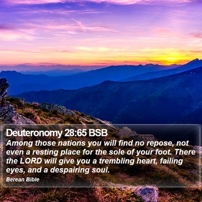 Deuteronomy 28:65 BSB Bible Verse Image