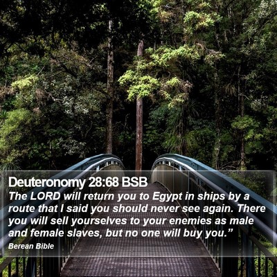 Deuteronomy 28:68 BSB Bible Verse Image