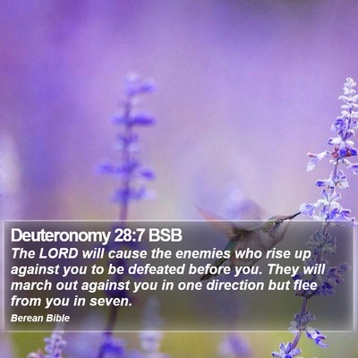 Deuteronomy 28:7 BSB Bible Verse Image