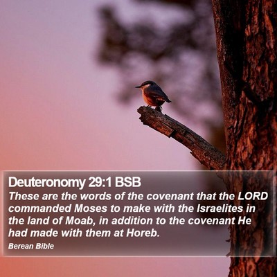 Deuteronomy 29:1 BSB Bible Verse Image