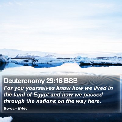Deuteronomy 29:16 BSB Bible Verse Image