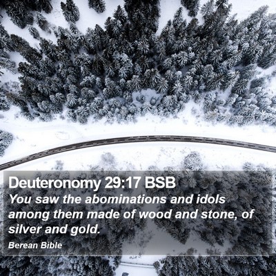 Deuteronomy 29:17 BSB Bible Verse Image