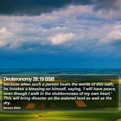 Deuteronomy 29:19 BSB Bible Verse Image