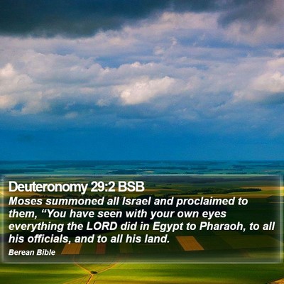 Deuteronomy 29:2 BSB Bible Verse Image