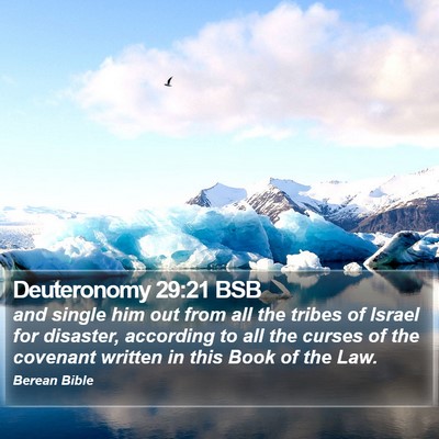 Deuteronomy 29:21 BSB Bible Verse Image