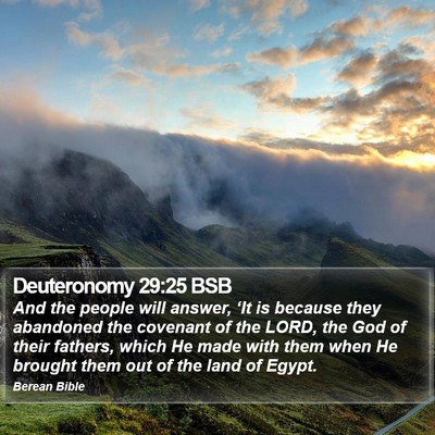 Deuteronomy 29:25 BSB Bible Verse Image