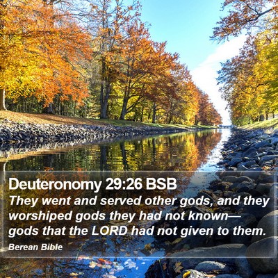 Deuteronomy 29:26 BSB Bible Verse Image