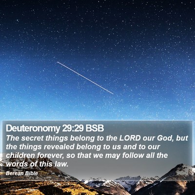 Deuteronomy 29:29 BSB Bible Verse Image