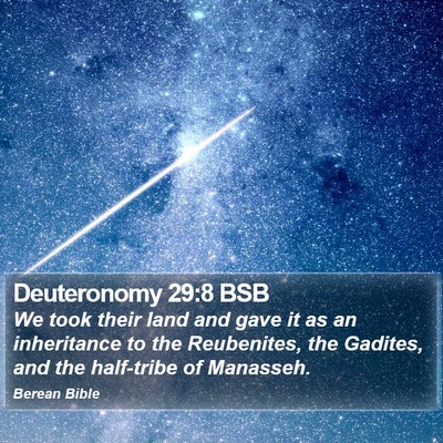 Deuteronomy 29:8 BSB Bible Verse Image
