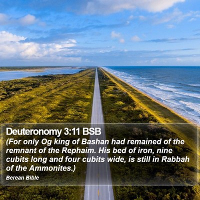 Deuteronomy 3:11 BSB Bible Verse Image
