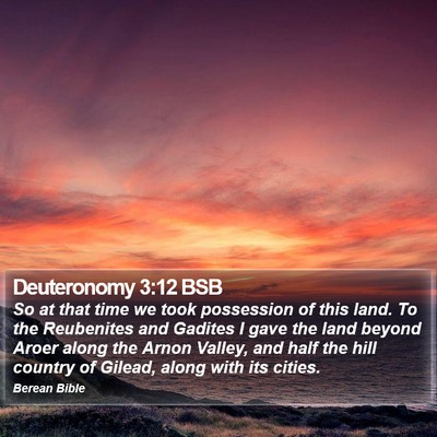 Deuteronomy 3:12 BSB Bible Verse Image