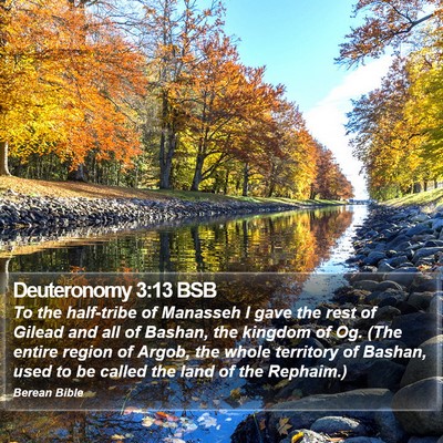 Deuteronomy 3:13 BSB Bible Verse Image