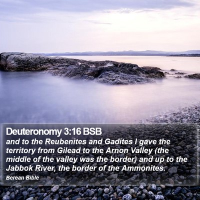 Deuteronomy 3:16 BSB Bible Verse Image