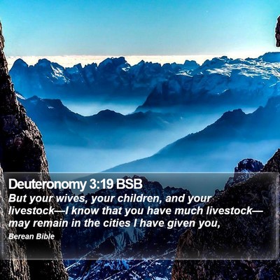 Deuteronomy 3:19 BSB Bible Verse Image
