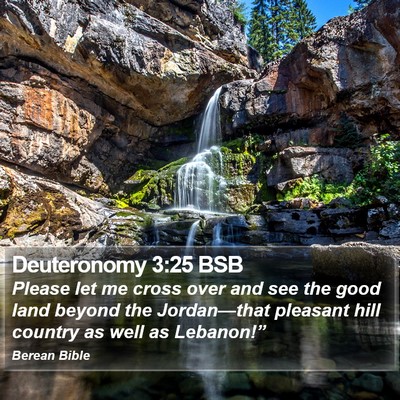 Deuteronomy 3:25 BSB Bible Verse Image